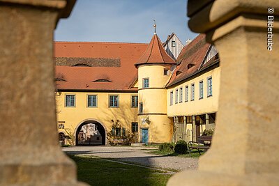 Schloss (Adelsdorf, Steigerwald)