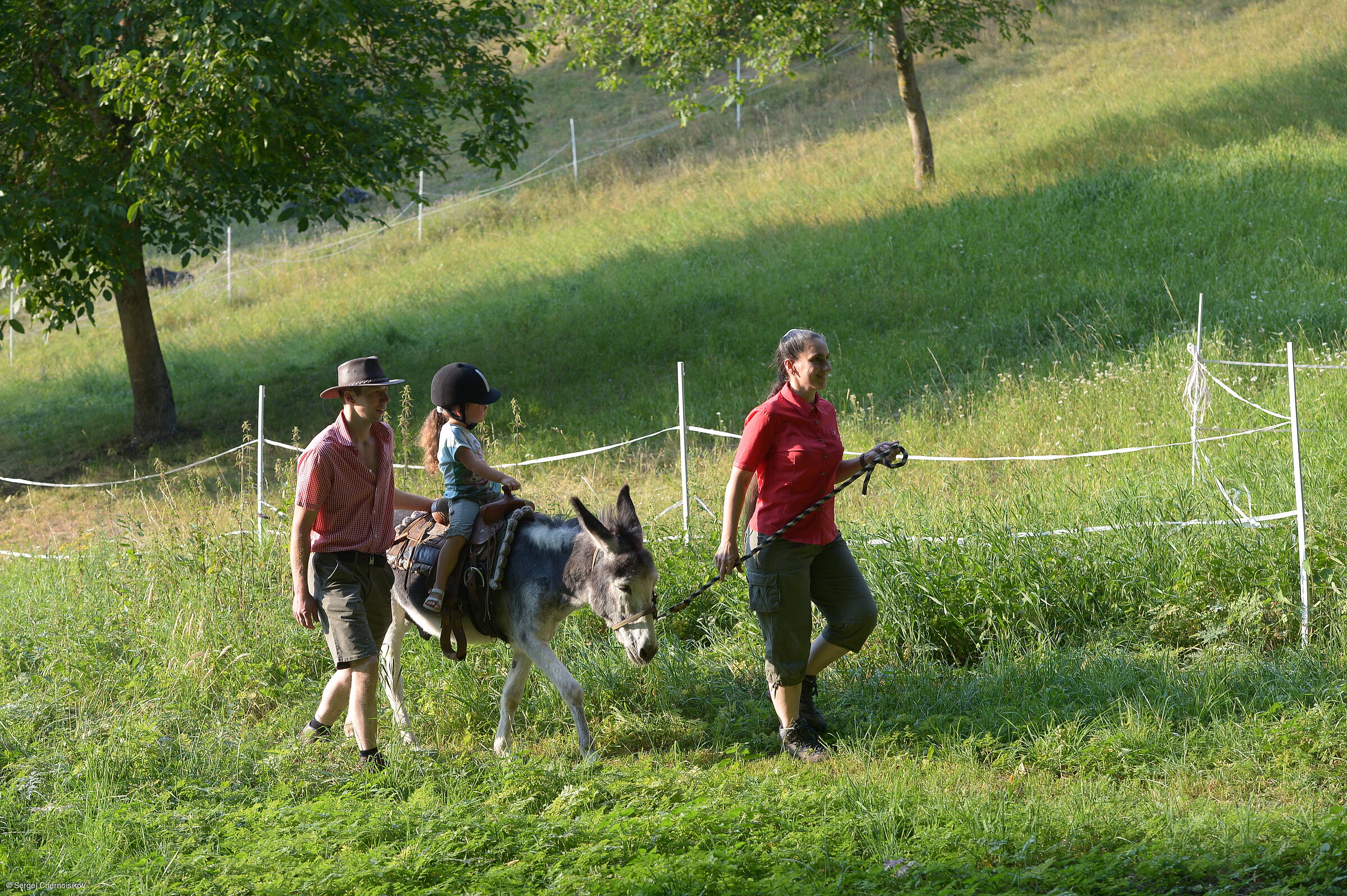 Eselwanderung (Michelau-Neuhof, Steigerwald)